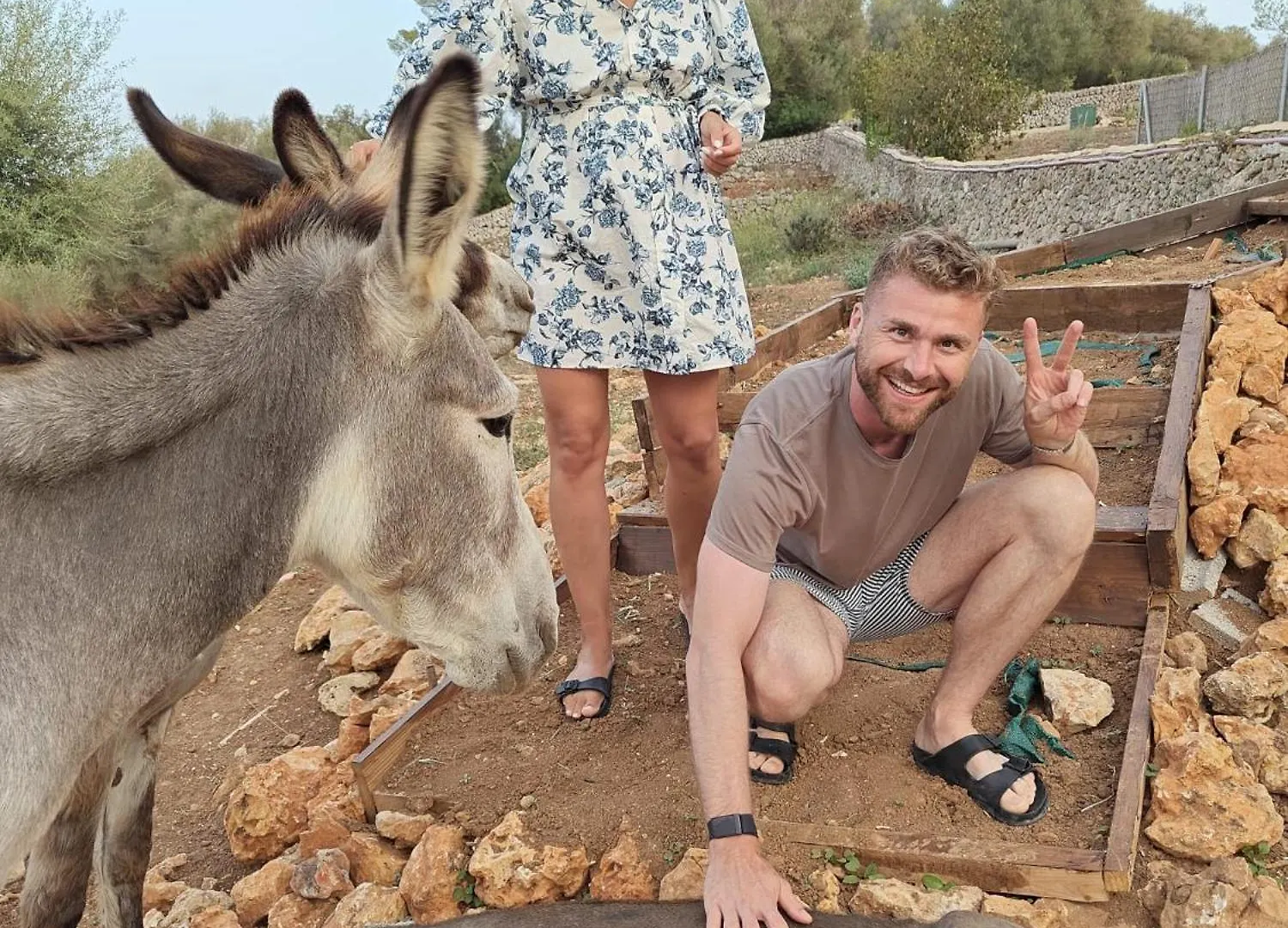 Bauernhof Agroturismo Ses Illes Costitx