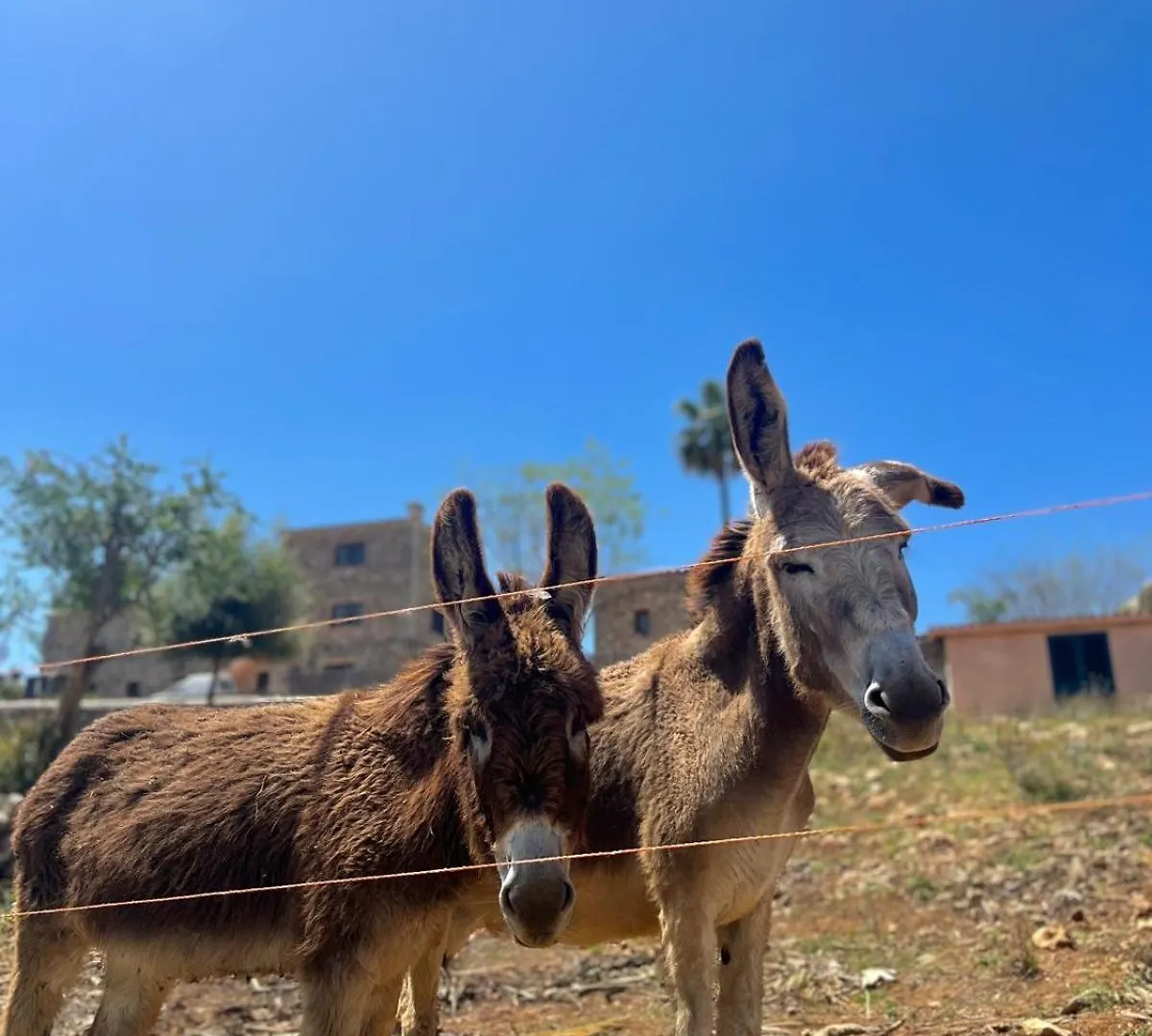 Agroturismo Ses Illes Costitx  Bauernhof